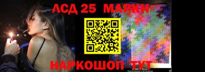 СК Гатчина