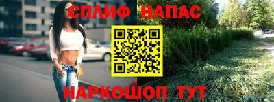 СК Гатчина