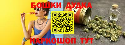 СК Гатчина