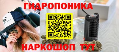 СК Гатчина