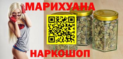 СК Гатчина