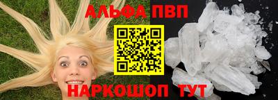 СК Гатчина