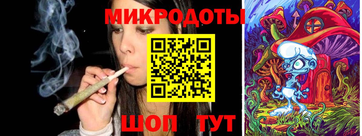 Псилоцибиновые грибы Psilocybine cubensis Можайск