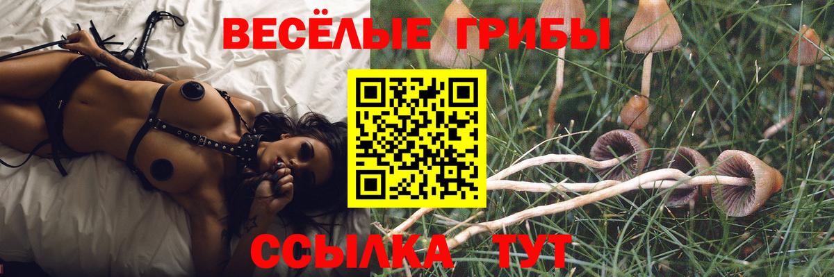 Можайск  Галлюциногенные грибы мухоморы  Галлюциногенные грибы Magic Shrooms  Вход с VPN 